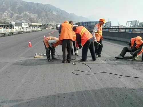 临湘道路桥梁病害治理